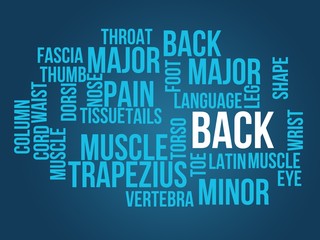 Fototapeta premium back