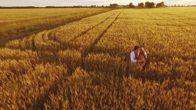 Young man playing pandora in wheat field at sunset. Slow motion. Aerial view.