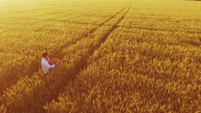 Bandura Bilder Durchsuchen 1,791 Archivfotos, und