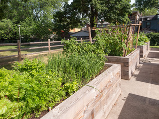 Community Garden