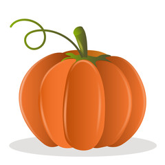 Pumpkin vector illustration. Pumpkin on a white background. Organic food. Pumpkin icon. Banner pumpkin