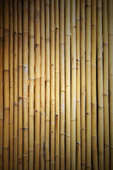 bamboo background