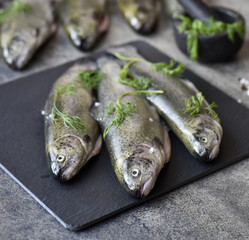 Rainbow trouts on a stone board with herbs and mortar