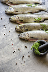 Rainbow trouts on a stone board with herbs and mortar
