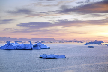 Icebergs are melting on arctic ocean in Greenland