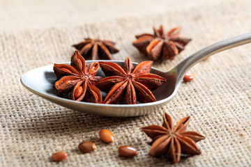 Star anise in a spoon