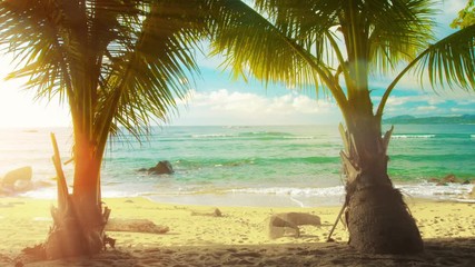 Plakat Video UHD - Palm trees, tropical beach and warm sea. Sunny day in Thailand