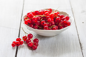 Fresh red currant