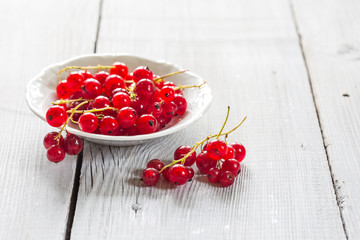 Fresh red currant