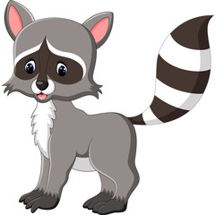 Fototapeta na wymiar cute raccoon cartoon