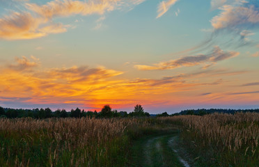 Road in sunset field
