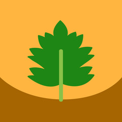 flat vector icon design collection leaf of tree
