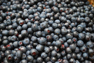 Background from blueberries.