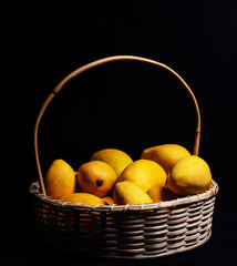 Fresh ripe chaunsa mangoes with basket on black background