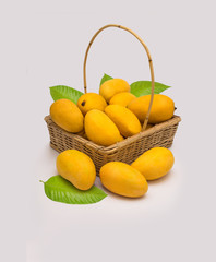Fresh ripe chaunsa mangoes with green leaf and basket on white