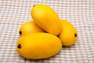 Chaunsa Mango, A king of all fruits on tablecloth