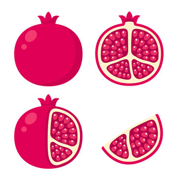 pomegranate illustration set