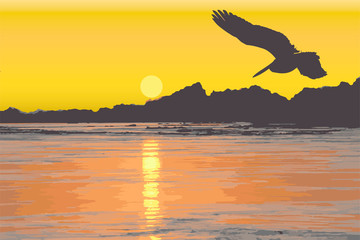 Silhueta de um pássaro voando próximo ao litoral no final da tarde.