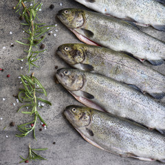 Rainbow trouts on a stone board with herbs