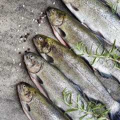 Rainbow trouts on a stone board with herbs