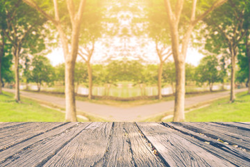 The beautiful landscap nature and sunset park in city