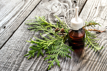 The essential oil and fresh sprig of arborvitae