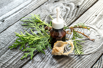 The essential oil and fresh sprig of arborvitae