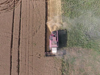 Cleaning wheat harvester