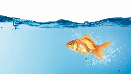 Gold fish in water . Mixed media © Sergey Nivens
