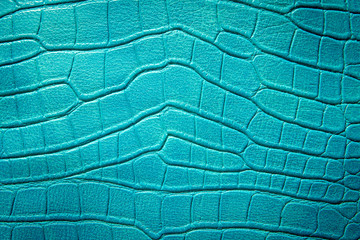 pattern of green crocodile skin.
