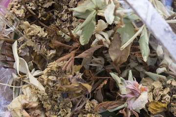 This is a photograph of dried flowers