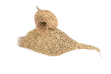 bird nest baya weaver skylark on white background.