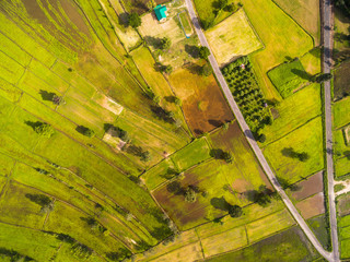 Fototapeta premium Aerial view of rice fields
