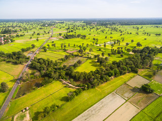 Fototapeta na wymiar Aerial view of rice fields