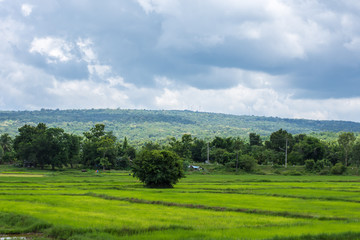 Fototapeta na wymiar Mountain View, Phu Phan, Sakon Nakhon.