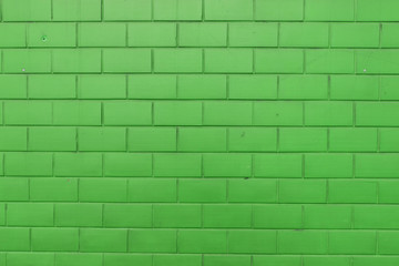 Fototapeta premium Green brick wall 