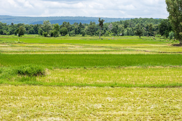 Mountain View, Phu Phan, Sakon Nakhon.