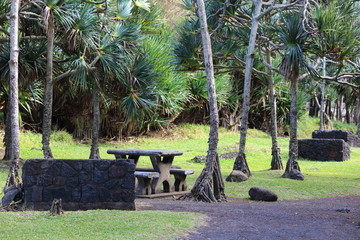pique nique ile réunion