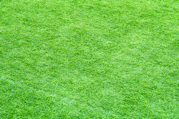 green grass background texture
