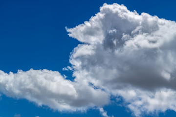 Obraz premium 青空と白い雲