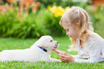 Little girl with a labrador puppy, outdoor summer