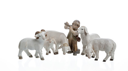 Hirtenknabe in einer gruppe von Schafen auf weissem Hintergrund 