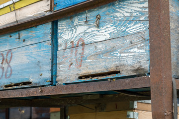 Bee hives in a field. Georgia