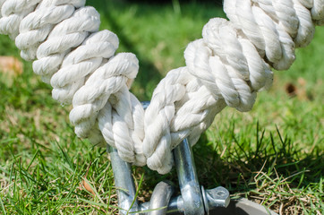 Rope and mooring ring / Tree protection setup with rope to resist strong wind