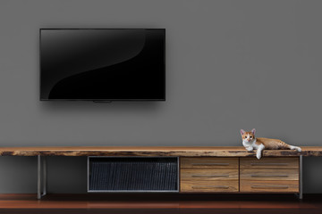 Living room led tv on wall with kitten on wooden table