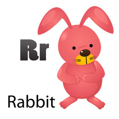 Alphabet letter R-Rabbit