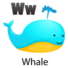 Alphabet letter W-Whale