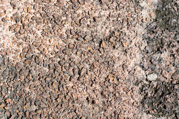 The surface of the laterite
