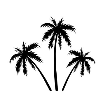 Three palms sketch. Black coconut tree silhouette, isolated on white background. Symbol of tropical nature, beach, summer holiday, travel. Floral exotic landscape. Natural design. Vector illustration