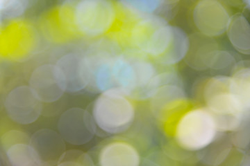 green abstract light background.